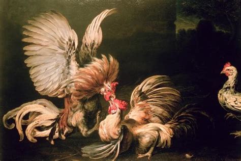 Fighting Cocks Giclee Print Frans Snyders Or Snijders