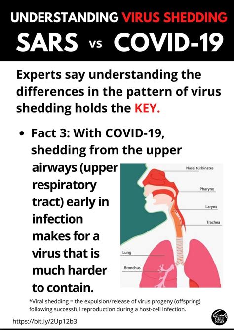 Why This Coronavirus Is Extremely Virulent Understanding Virus