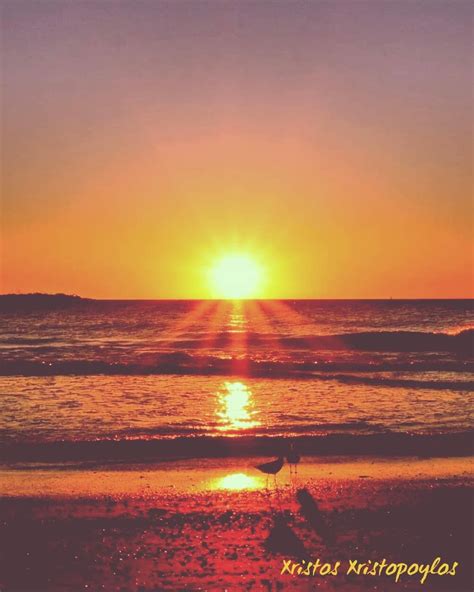 An Idyllic Sunset 🌇 On The Beach 🌊 With Seagulls On The Shore 👌 ☺ 💖 Sunset Sunset Love Beach