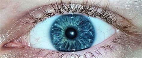 Blue Eye Eyes Cornflower Blue Blue Eyes