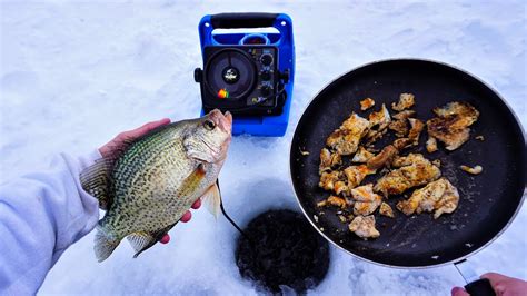 Slab Crappie Catch And Cook Ice Fishing Youtube