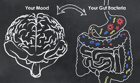 The Mind Gut Connection How The Microbiome Affects The Brain Viome