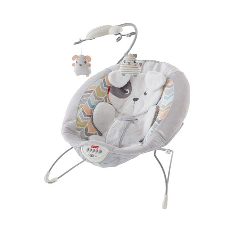 Fisher Price Deluxe Bouncer Sweet Snugapuppy Dreams