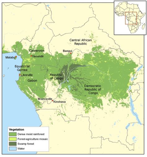 1398 The Rainforests In Congo Basin Show Signs Of Climate Change Stress