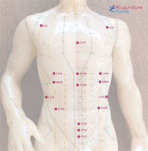 Acupuncture alarm points or Front MU Points - Acupuncture Points