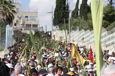 Beit Emmett Holy Week Palm Sunday
