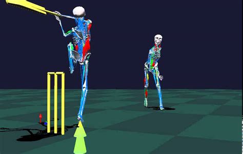 Cricket Biomechanics Youtube