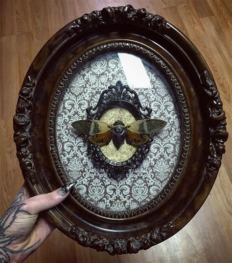 The most common creepy home decor material is paper. Beautiful vintage bubble glass frame. … | Goth home decor ...