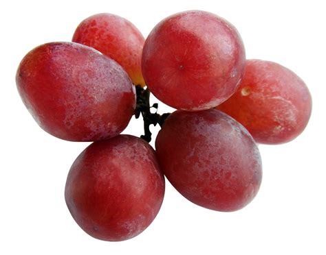 Green Grapes Png Image Purepng Free Transparent Cc0 Png Image Library
