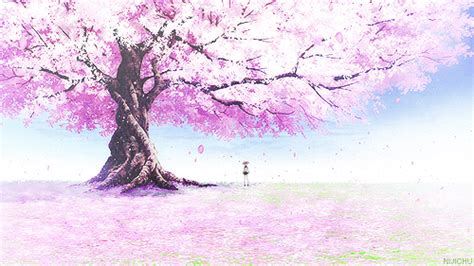 Cherry Blossom Tree Anime  Anime Scenery Pinterest