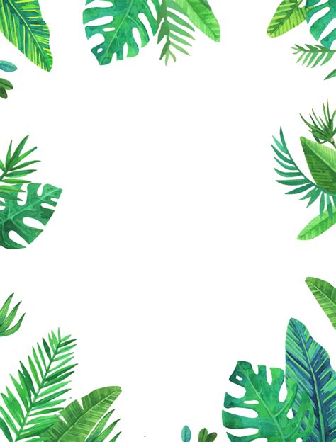 Leaves Tropical Frame Png Clipart Picture Frames Tropical Frame Png Free Transparent Png