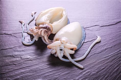Like we cannot have water snakes. Confused About What Squid Eat? You're Not Alone! - Animal Sake