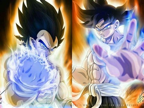 Dragon Ball Super Goku And Vegeta Ultra Instinct Anime Dragon Ball