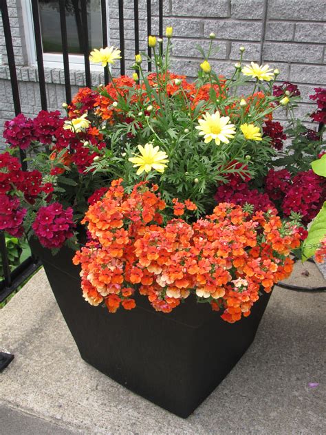 20 Summer Flower Arrangements In Pots Decoomo
