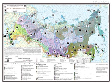 Pdf The Biomes Of Russia Map