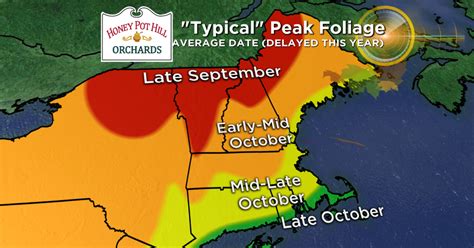Peak Fall Foliage To Be Delayed This Year Due To Warm Weather Cbs Boston