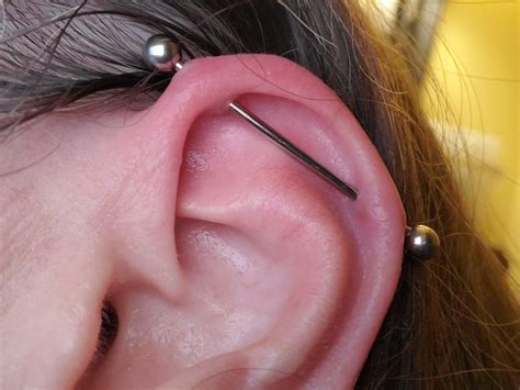 Industrial Piercing 29 Days Later I Think Its Healing Well Rpiercing