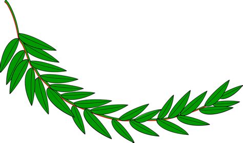 Download Branch Laurel Leaf Royalty Free Vector Graphic Pixabay