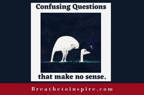 50 Confusing Questions That Make No Sense With Answers Breathe To Inspire