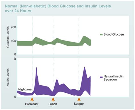 Blood glucose levels are the amount of glucose that someone has in their blood at any given time. Insulin Basics :: Diabetes Education Online