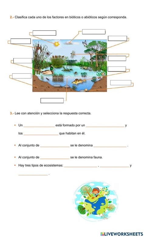 Ejercicio de Qué es un ecosistema Tipos de ecosistemas Ecosistemas Factores bioticos y