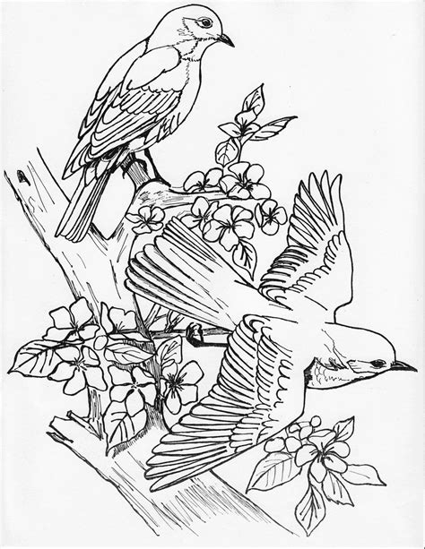 Print all of our coloring pages for free! Bermuda Audubon Society - Activities for Kids
