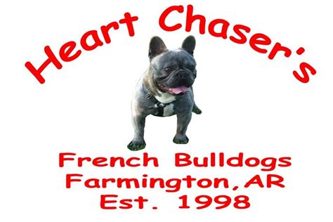 Look here to find a french bulldog breeder close to. French Bulldog Breeders Arkansas | Top Dog Information