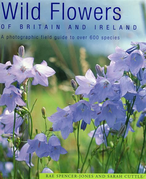 Wild Flowers Of Britain And Ireland By Rae Spencer Jones And Sarah Cuttle