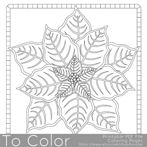 This Christmas Poinsettia Coloring Page For Adults Has A Detailed