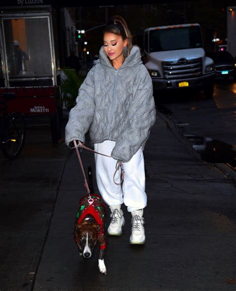 Ariana Grande Walk With Her Dog Out And About In New York City 201911