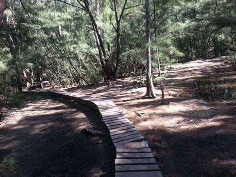 Maybe you would like to learn more about one of these? Mountain Biking Oleta River State Park Miami Florida USA