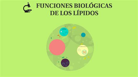 Funciones Biologicas De Los Lipidos By Maria Ochoa Limas On Prezi