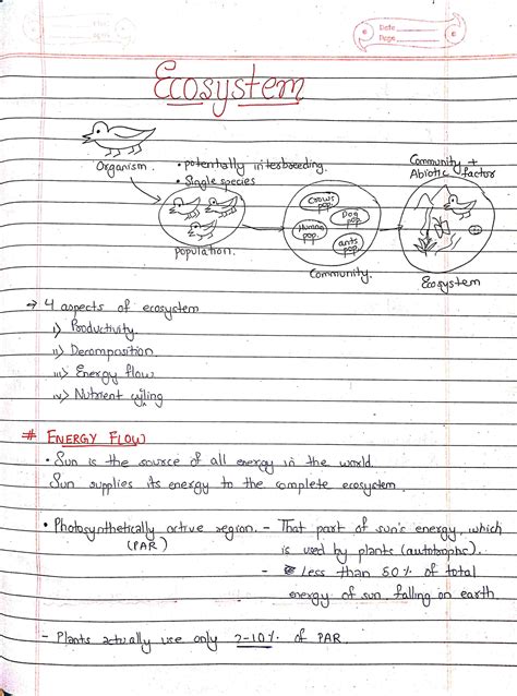 Ecosystem Class 12 Biology Handwritten Notes With Diagram Shop