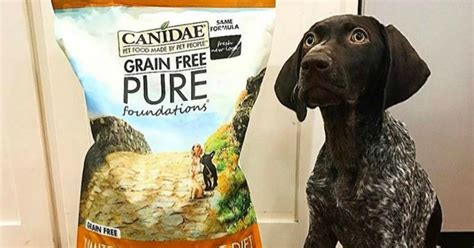 At petsmart® stores in us/pr with treats membership. TWO FREE Canidae Dog Or Cat Food Samples - Hip2Save