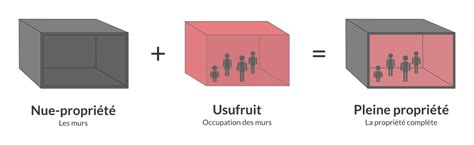 De nombreux abattements peuvent toutefois réduire ces frais, entre époux ou en cas de donation aux enfants par exemple. Nue-propriété et usufruit : distinctions | testamento.fr
