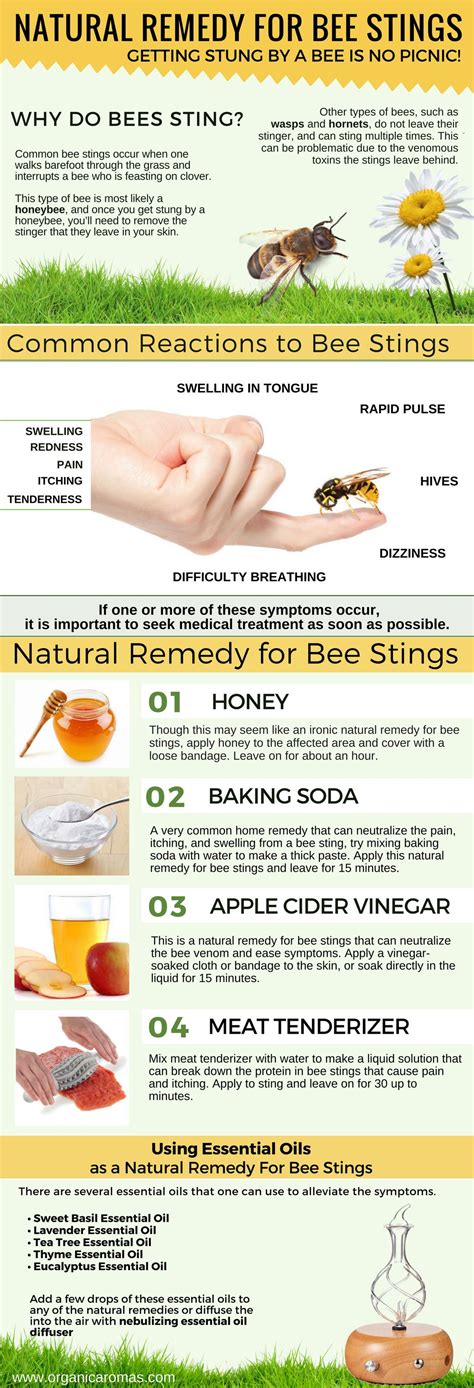1 Natural Remedy For Bee Stings