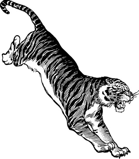 Clipart Jumping Tiger