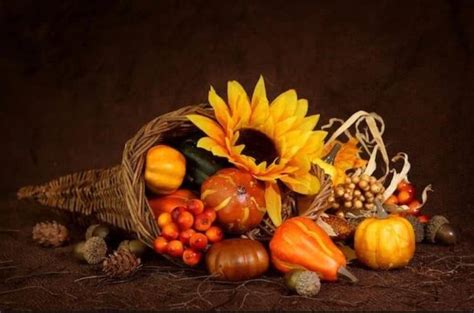 Maybe you would like to learn more about one of these? What to Expect For Thanksgiving Break In College - Dorm ...