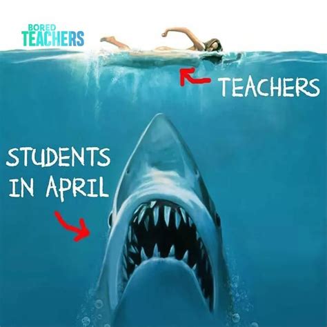 Downtown dallas, galleria mall, north park mall, allen outlets, hospital district, restaurants and central location to all the major dfw attractions. Pin by Crystal Clear on Classroom moments | Teacher humor ...