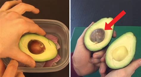 La meilleure façon de conserver un avocat ouvert Regardez ce test et