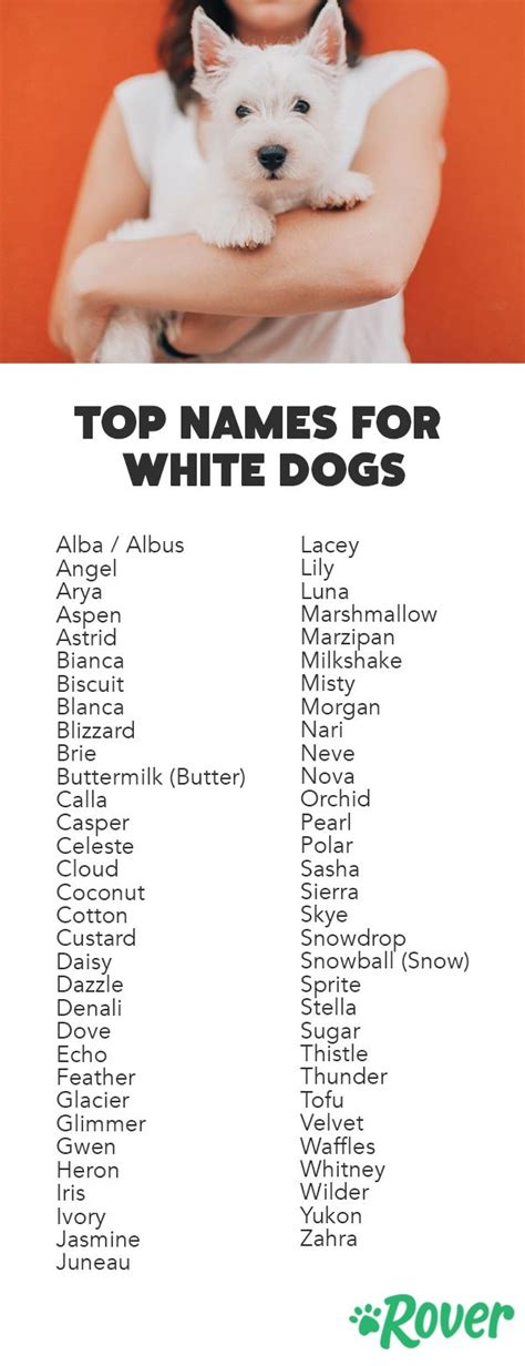 It's fun and instantly recognizable, and you don't have to worry about it being common. 62 Best White Dog Names in 2019 | Cute names for dogs ...