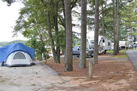 10 Things To Do At Clarks Hill Lake — Visit Thomson, GA