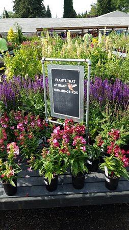 Make restaurant reservations and read reviews. Molbak's Greenhouse and Nursery (Woodinville) - 2019 All ...