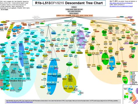 R L513 and Subclades - Results | Family Tree DNA