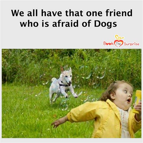 Tag That Friend Who Is Scared Of Dogs Scaredofdogs Dog Dogs