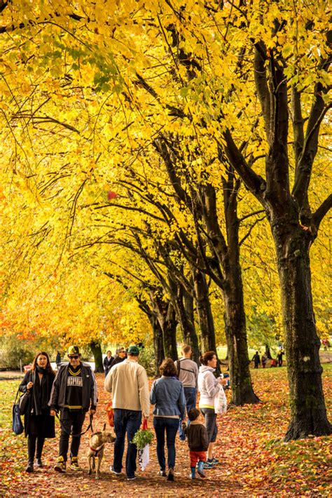 Best Places To See Fall Colours Around Vancouver Inside Vancouver