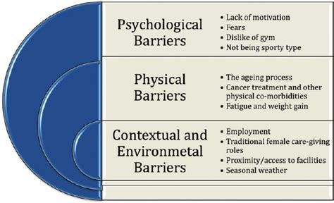 Main Themes And Subthemes For Barriers To Exercise Participation 5
