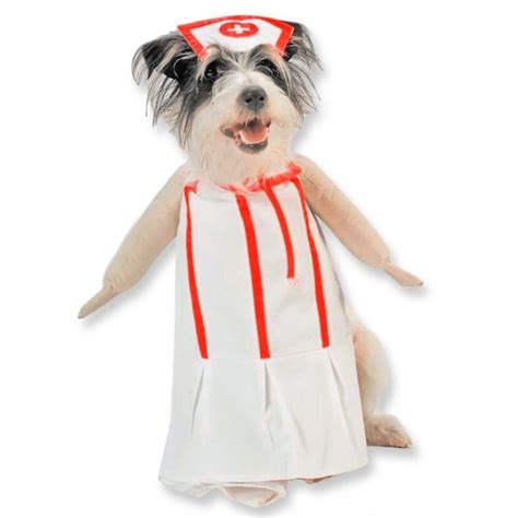 Nurse Pet Costumeincludes White Dress With Red Stripes Attached Arms