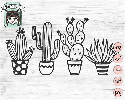 Cactus Svg File Succulent Svg File Cactus Clip Art Etsy Cactus