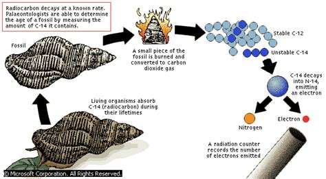 Explain how radioactive dating works. Growing CO2 levels are messing up radiocarbon dating